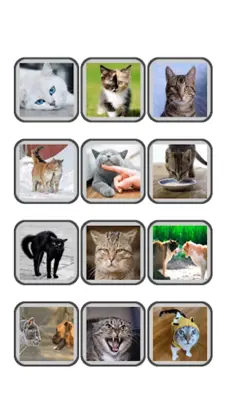 Human to Cat Translator - Meow android App screenshot 0